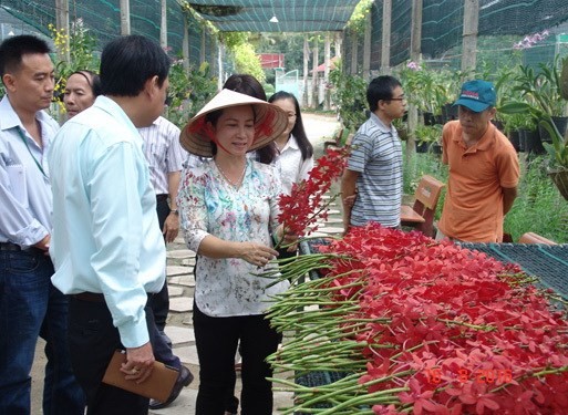 Director of the Huyen Thoai Orchid Cooperative, Dang Le Thi Thanh Huyen, presents orchids from her garden at Huyen Thoai Orchid Cooperative in An Nhon Tay commune in HCM City’s Cu Chi district (Photo: VNA)