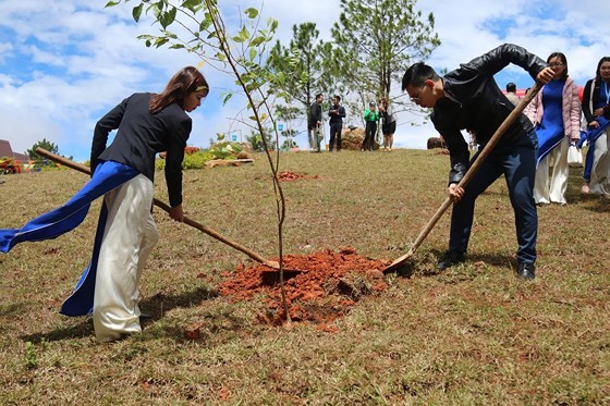 First cherry blossom trees are planted on Langbiang mountain.
