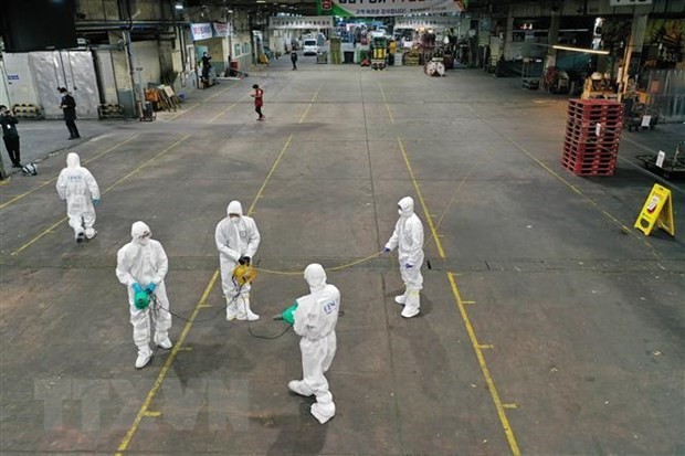 Spraying disinfectants at a vegetable market in Daegu, the Republic of Korea, to prevent the spread of the novel coronavirus disease (COVID-19) on February 20 (Photo: AFP/VNA)