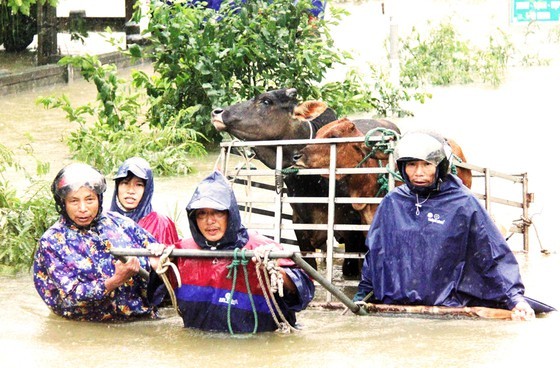 People nationwide extends solidarity with flood victims ảnh 1 People nationwide extends solidarity with flood victims ảnh 1