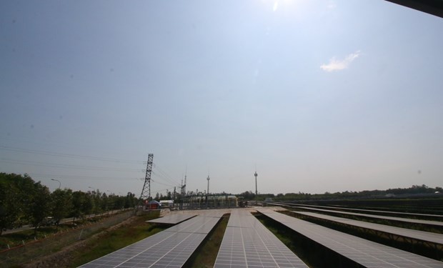 The Hau Giang solar power plant has 79,000 solar panels and is expected to generate some 80 billion VND in annual revenue (Photo: VNA)