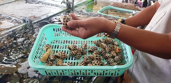 Nha Trang restaurant overcharging tourist ordered to temporarily close ảnh 3