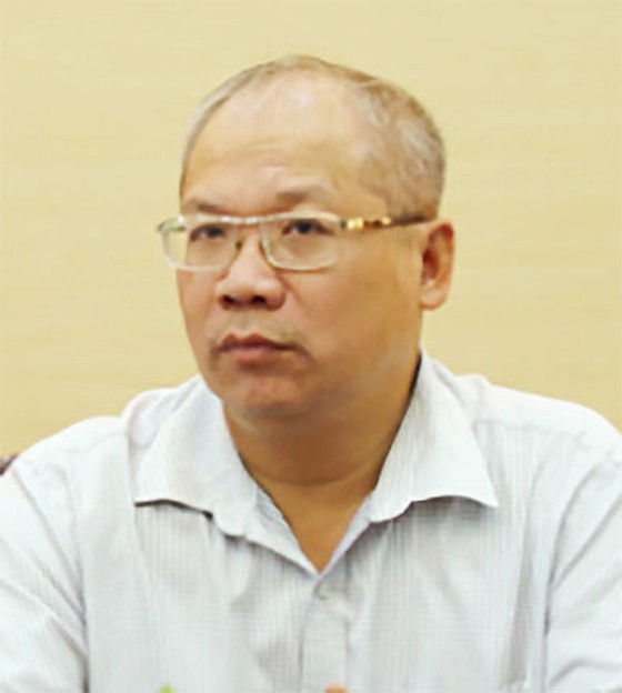 HCMC People's Council deputies propose day of remembrance for Covid-19 victims ảnh 7