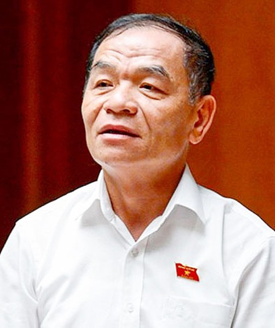 HCMC People's Council deputies propose day of remembrance for Covid-19 victims ảnh 8