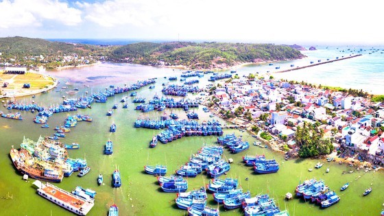 Coastal localities required to develop sustainable fishery exploitation ảnh 1