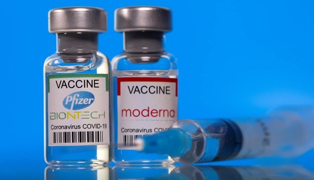 Ministry licences Pfizer, Moderna vaccines for inoculation of children ảnh 1 Ministry licences Pfizer, Moderna vaccines for inoculation of children ảnh 1