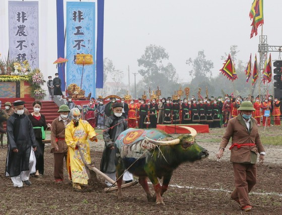 President attends ploughing festival in Ha Nam ảnh 3