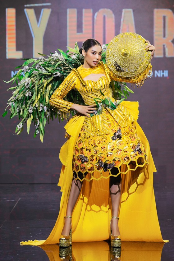 Winner of design contest seeking national costume for Miss Universe revealed ảnh 9