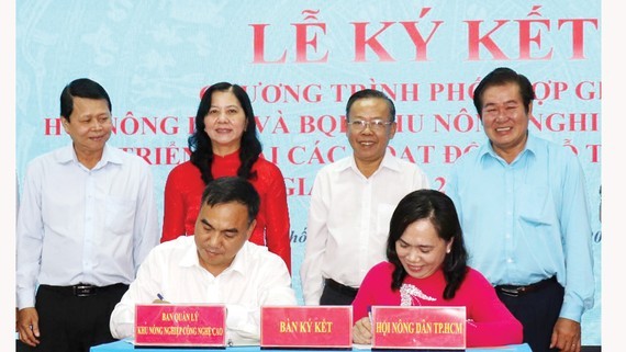 HCMC supports farmers to do business on e-commerce platforms ảnh 1 HCMC supports farmers to do business on e-commerce platforms ảnh 1