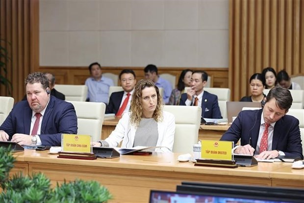 Foreign businesses recommend solutions to promote Vietnam's development ảnh 1
