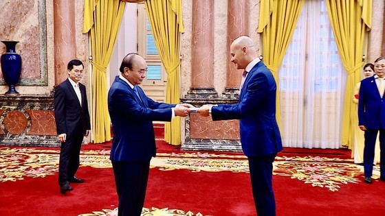 President hosts newly-accredited ambassadors ảnh 1