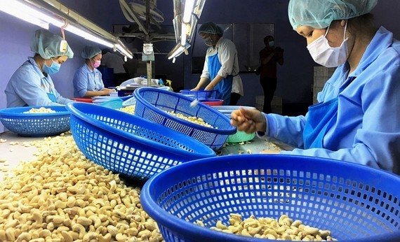 Lack of orders plaguing export enterprises ảnh 1