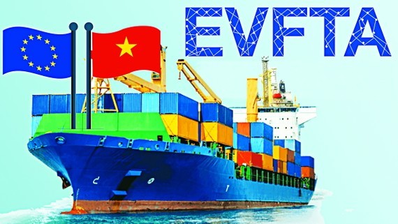 Free Trade Agreements not yet fully understood ảnh 1