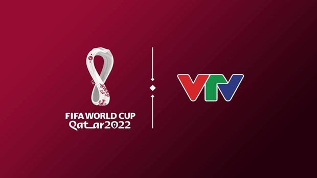 VTV officially owns FIFA World Cup 2022 media copyright ảnh 1 VTV officially owns FIFA World Cup 2022 media copyright ảnh 1